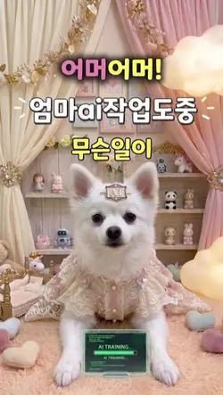 강아지댄스