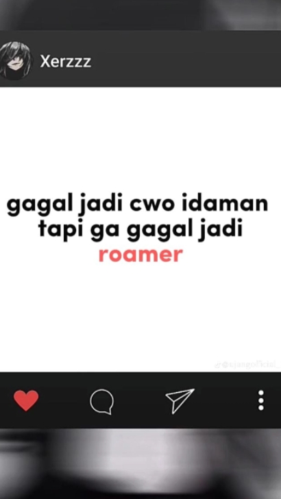 VERSI ROAMER