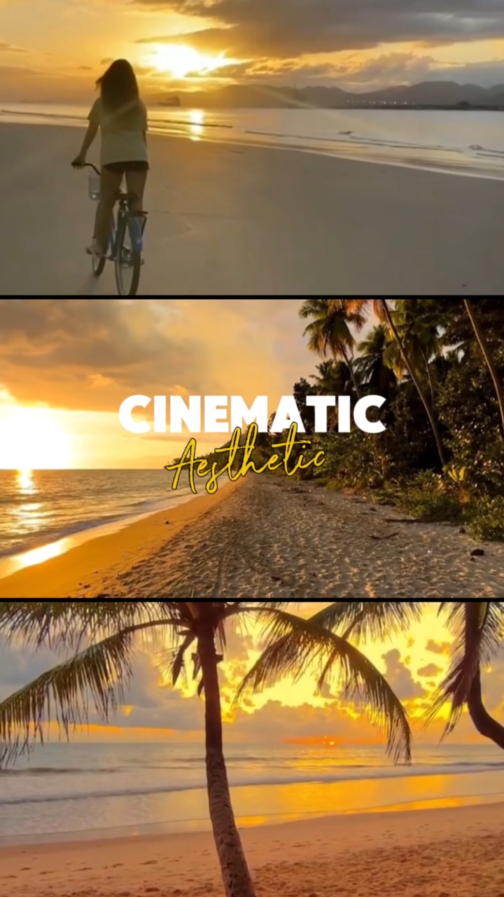 Vlog cinématographique