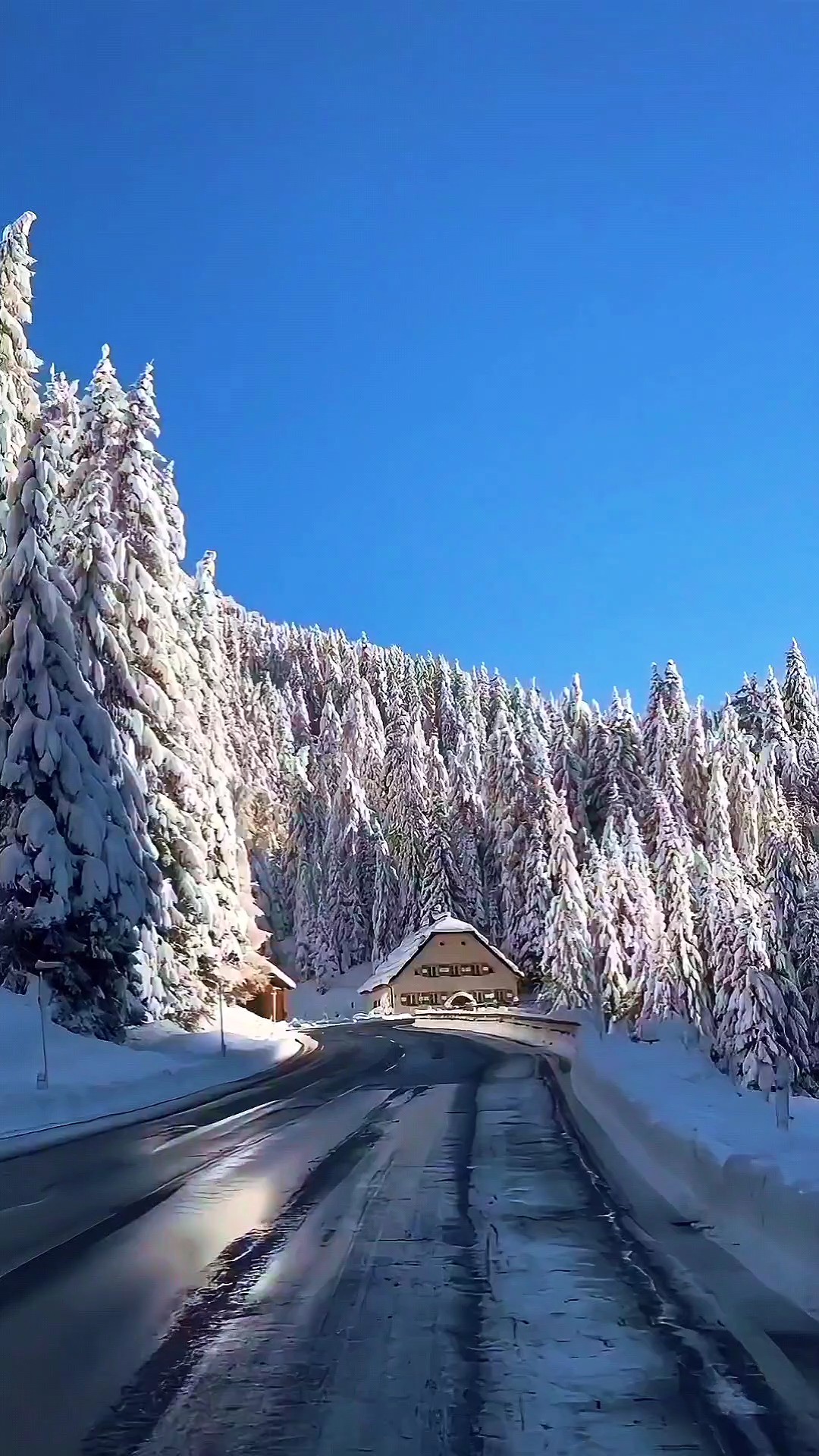 Camino nevado 