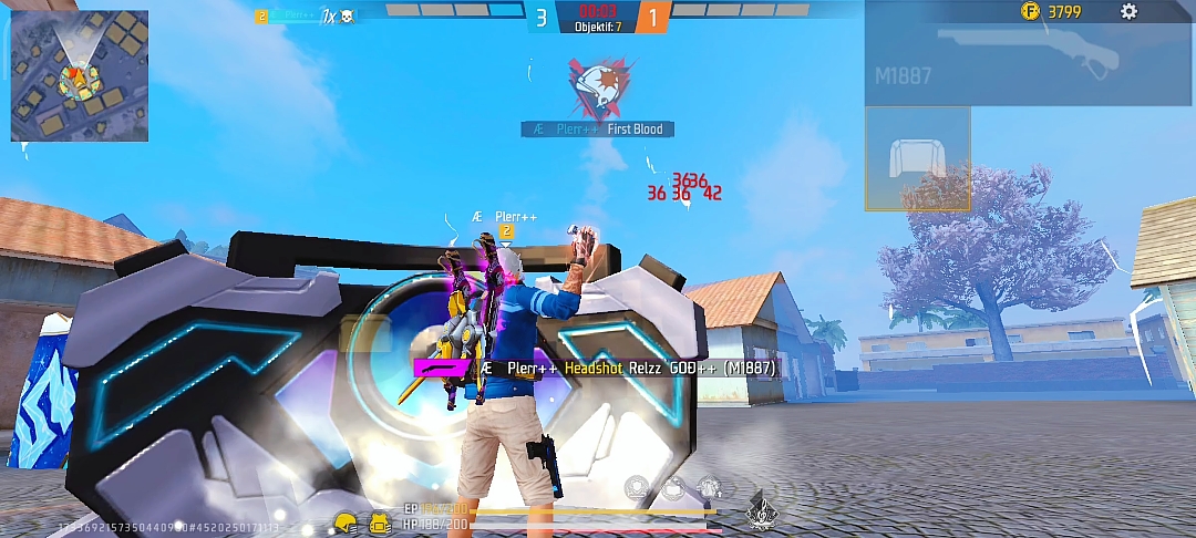 Cover Picture