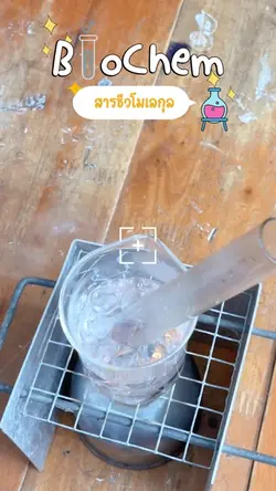 การทดลอง