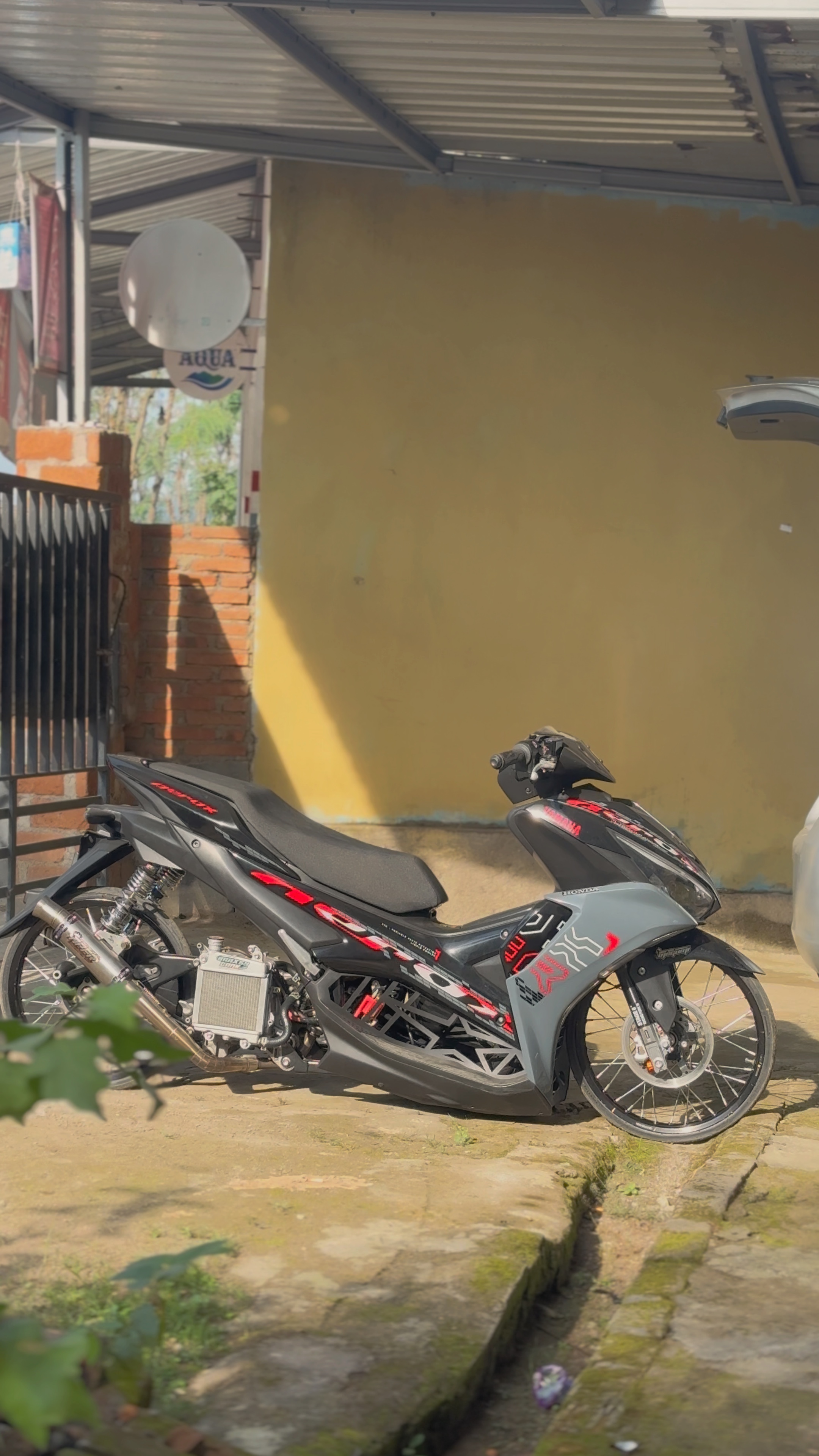 Cover Picture