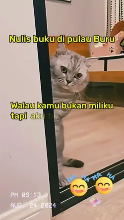 meme lucu