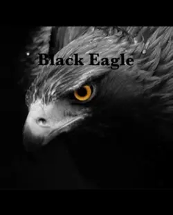 🦅 Black Eagle 🦅 