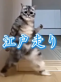 江戸走り 写真1枚 ai