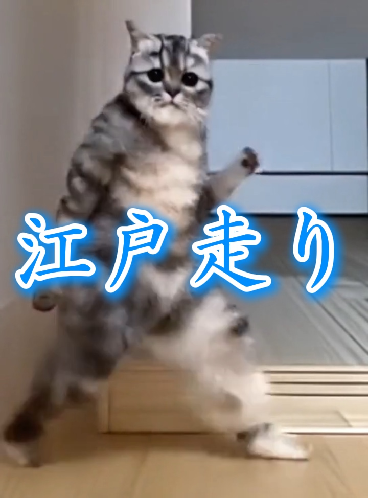 江戸走り 写真1枚 ai