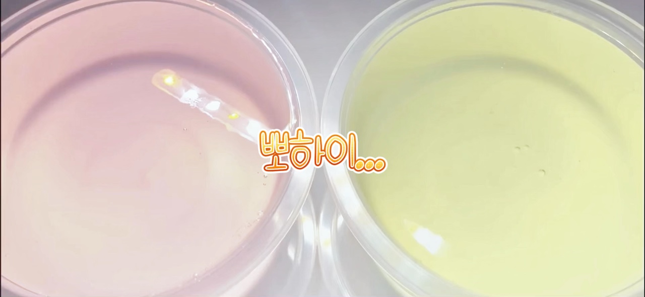 꼭 끝까지 바여