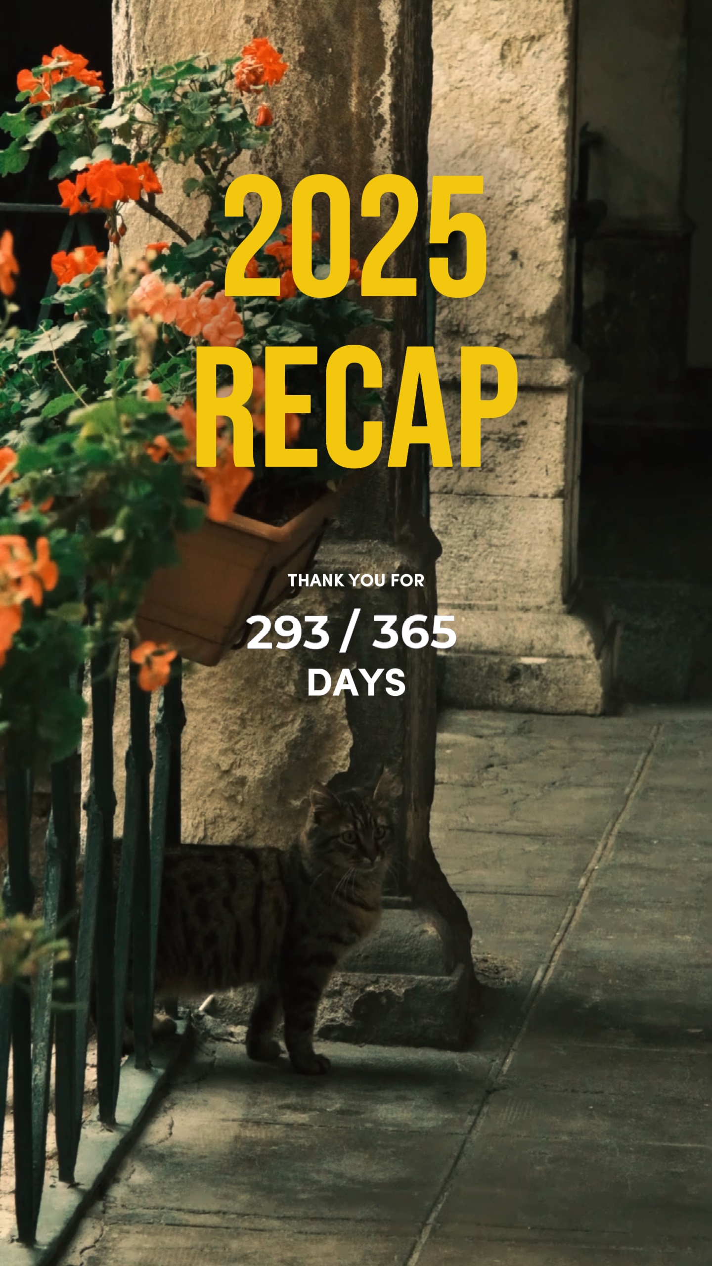 2025 recap 365 days