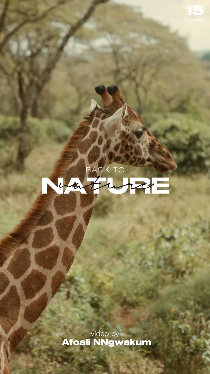 Naturaleza de vacaciones