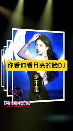 你看你看月亮的脸DJ