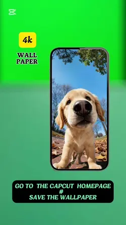 Add 2 clips