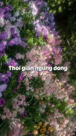 Thời gian ngưng đọng