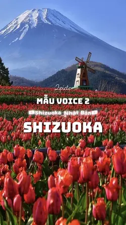 Mẫu 2_SHIZUOKA
