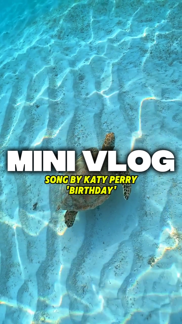 Mini Vlog