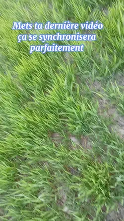 Mets ta vidéo 