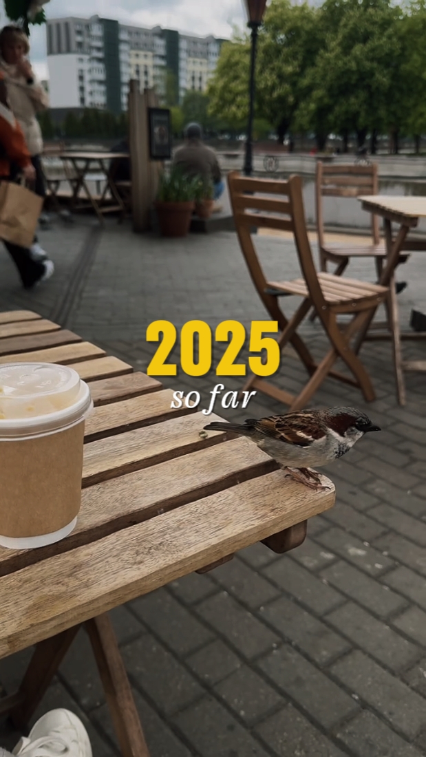 2025 so far 