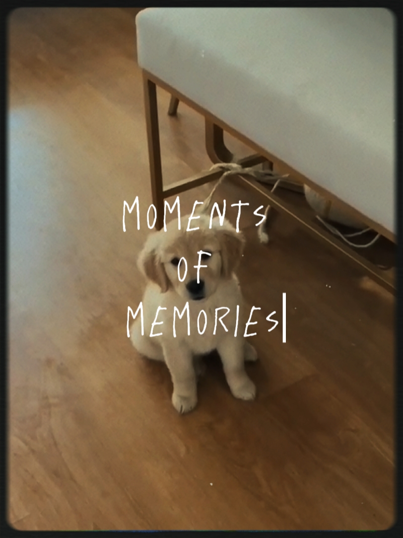 moments de souvenirs 