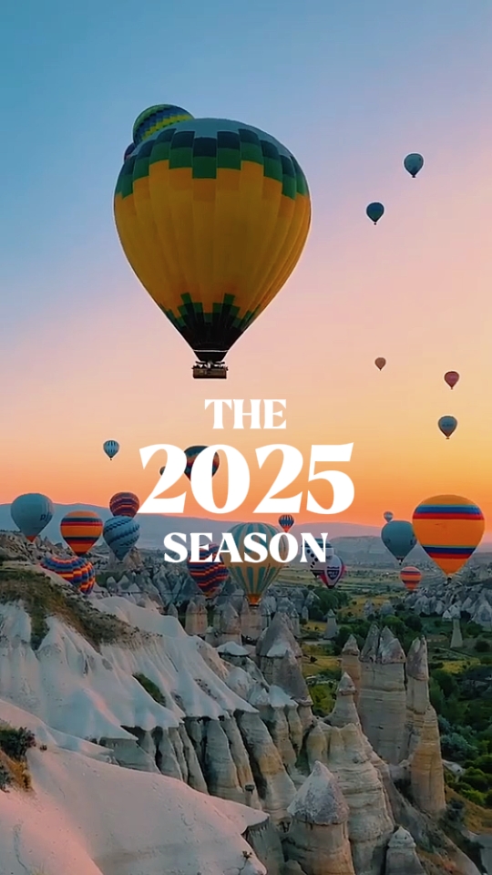 2025 요약