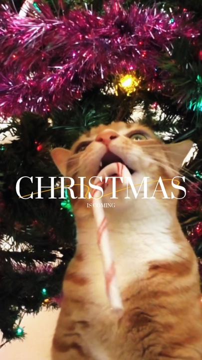 Weihnachten steht vor der Tür 