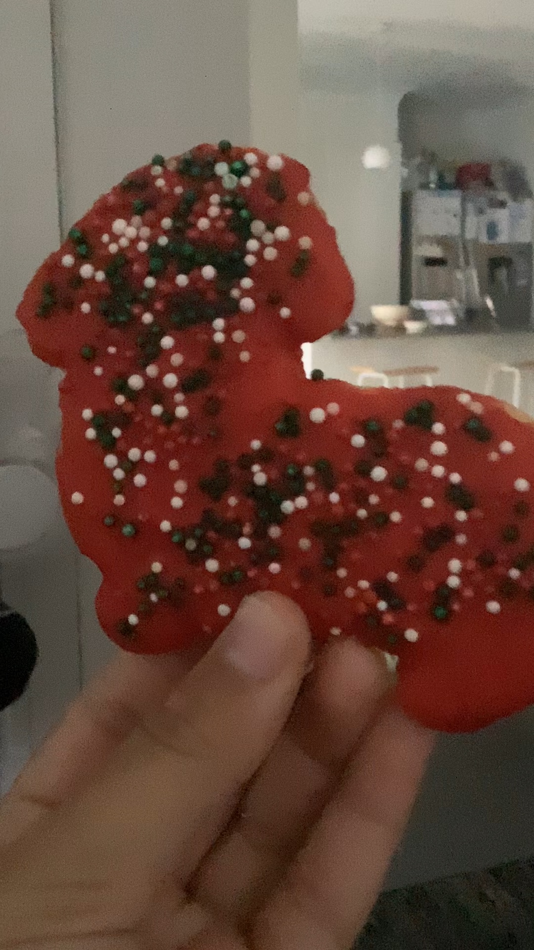 I made a cookie!!!