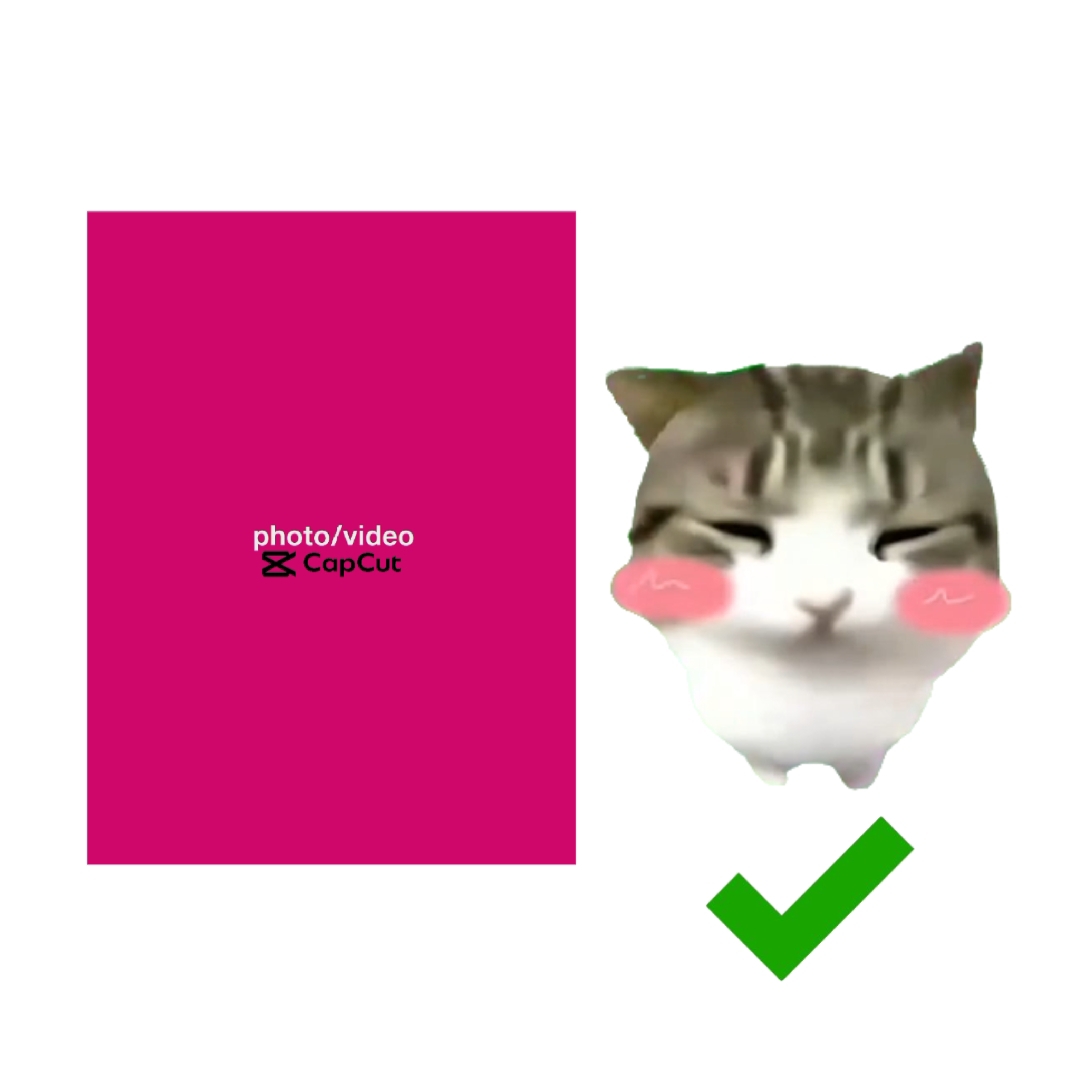DAMDAM DIDIDI KEDİ