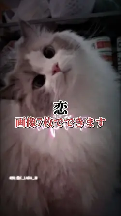 恋 |文字のところは自由に変えてください