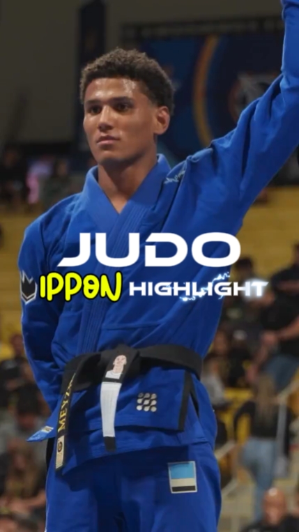 유도 ippon