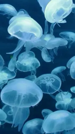 Yo no soy romántico 