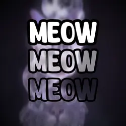 Meow Meow Meow 🐈‍⬛