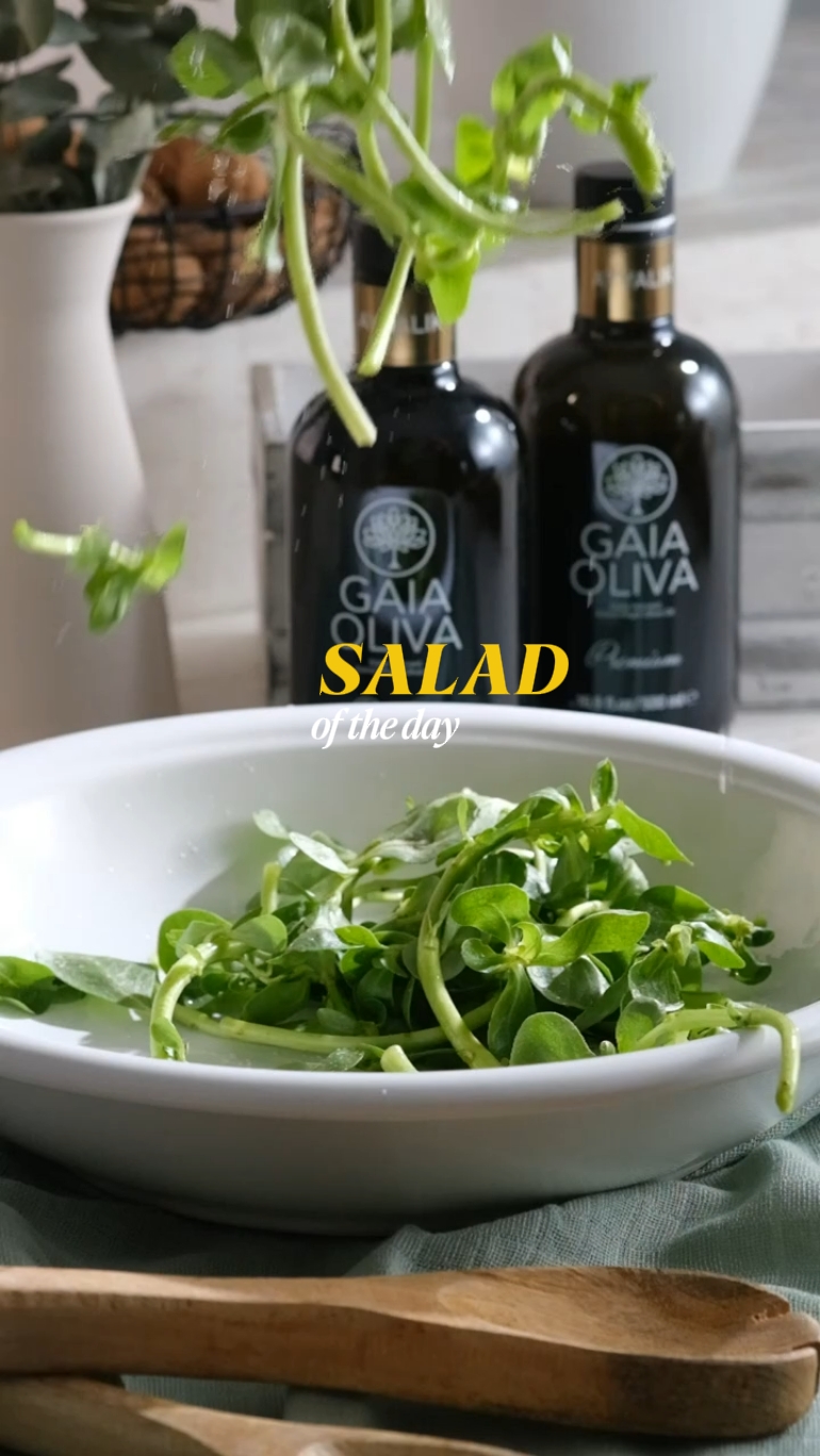 Salad of the day