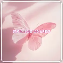 분홍색 사진을 넣어보세요