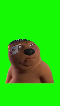 Castor chino