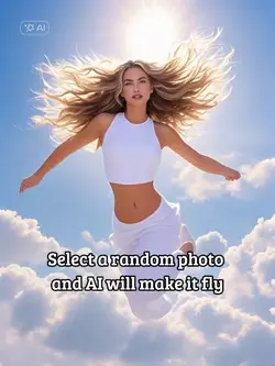 Fly Filter
