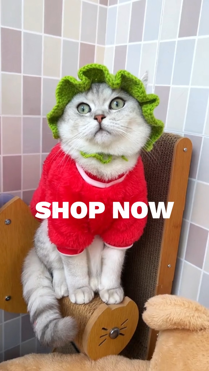 Venda de publicidade para animais de estimação estilo Toktok

