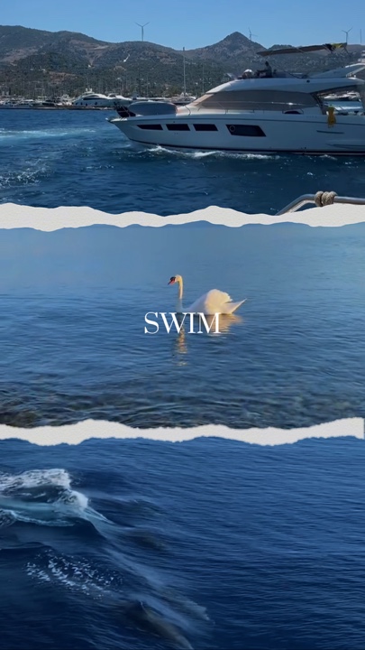 SWIM - BTS