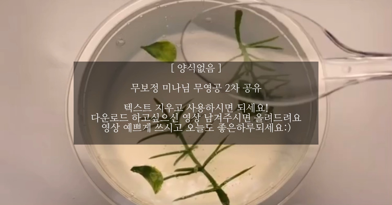 미나님 무영공 2차공유🌿