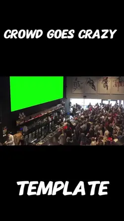 crowd goes crazy 