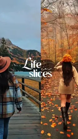 life in slices