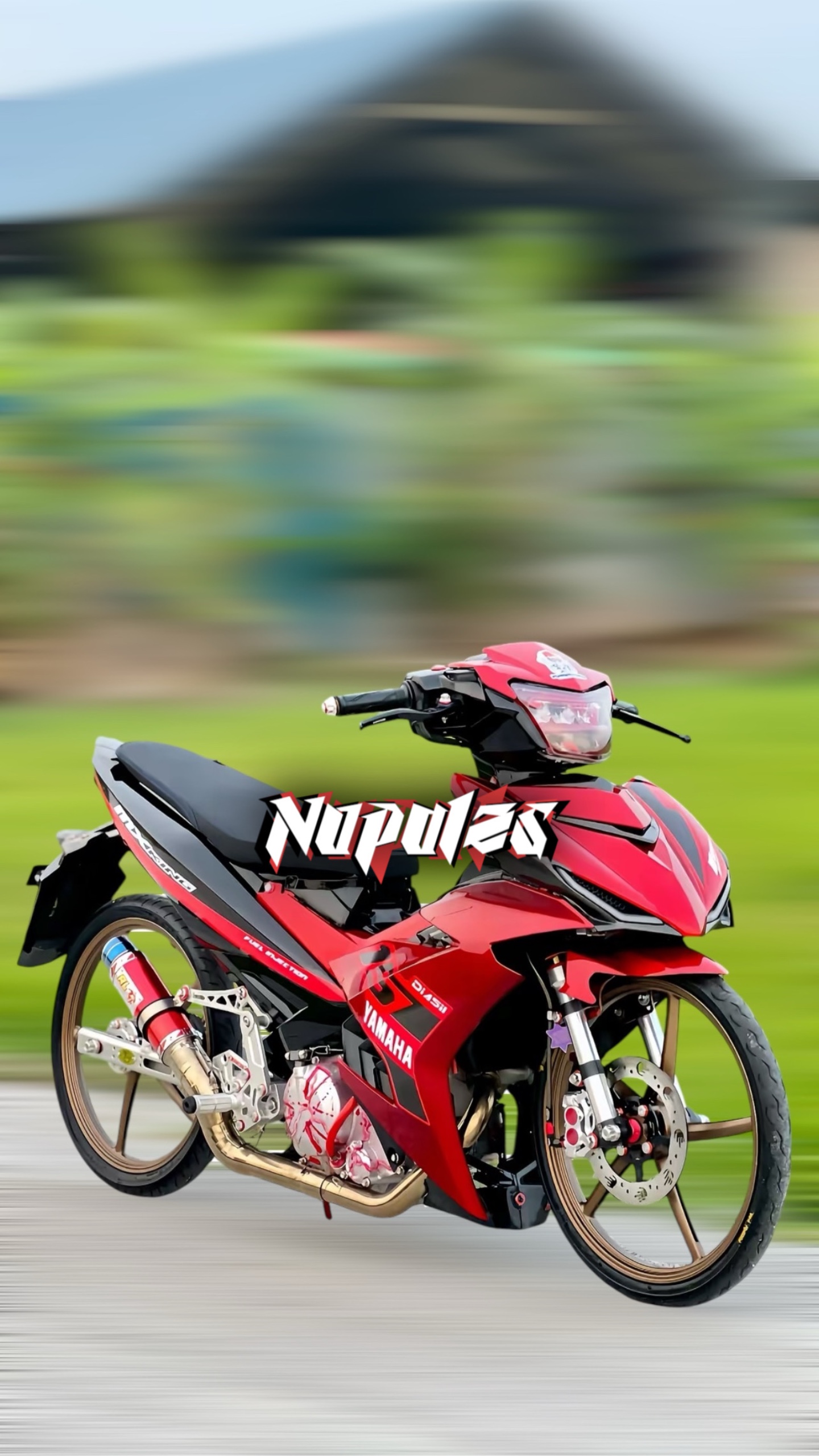 Cover Picture