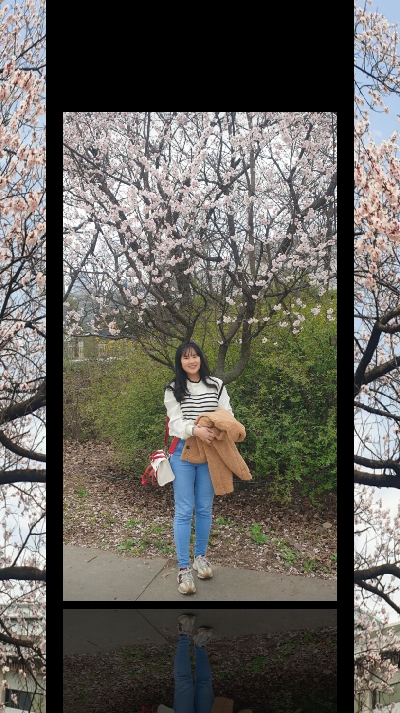 한국 브이로그