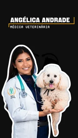 Médica veterinária 