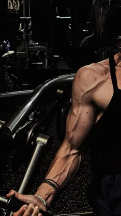 MUSCLE VIBES
