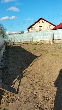 romanian