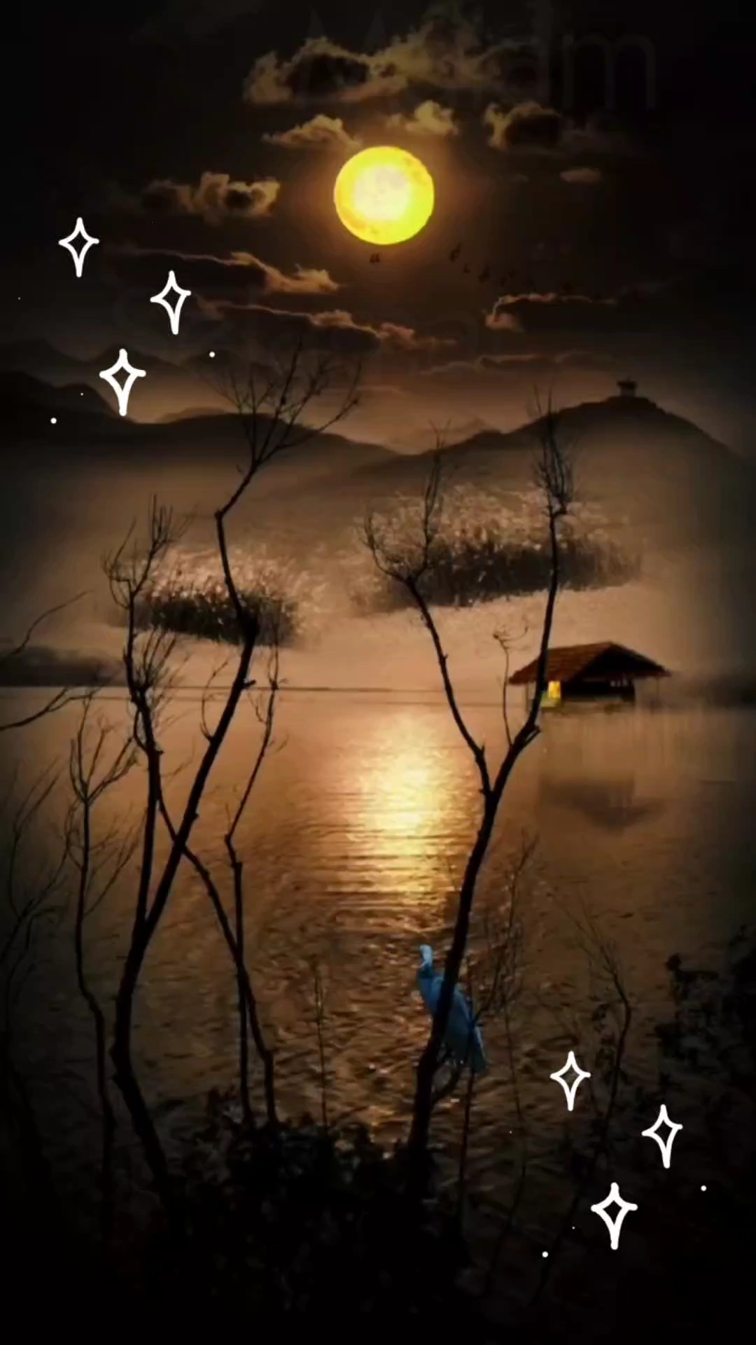 Selamat Malam Semua