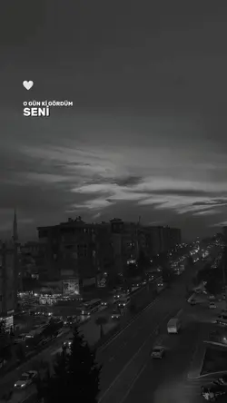 Fikrimin İnce Gülü