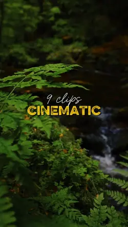 CINEMATIC 9 CLIPS