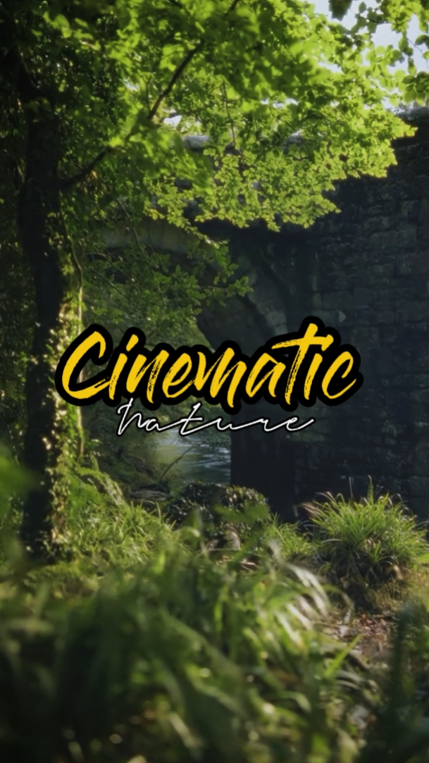 cinematic nature 