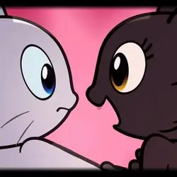 ConfessYourLove Cat
