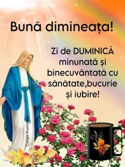 Sfânta fecioara Mari